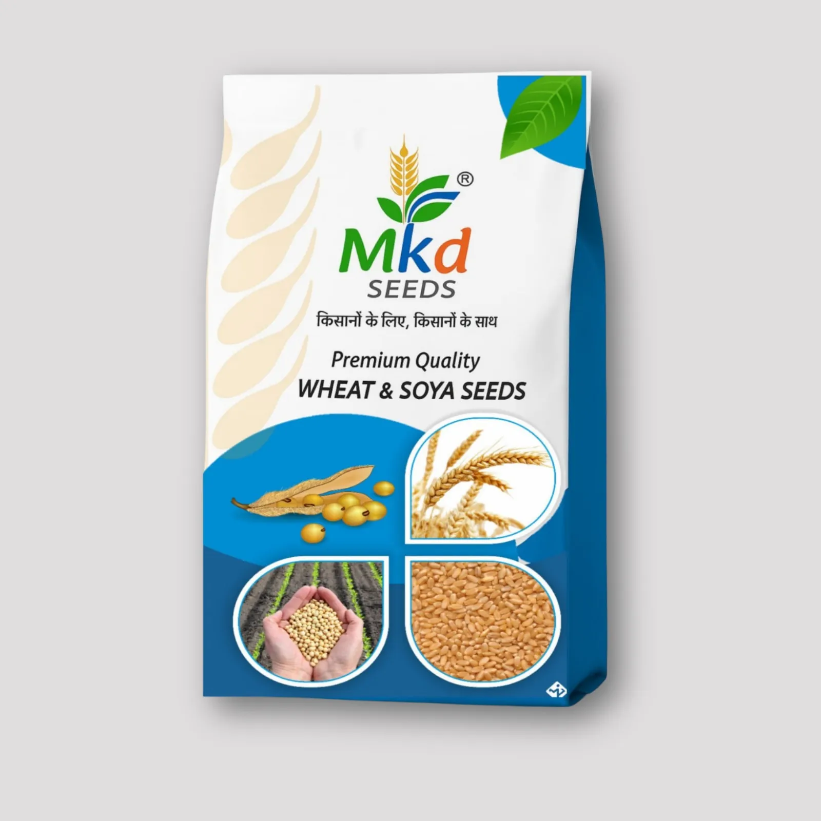 WH 147 Wheat Seeds
